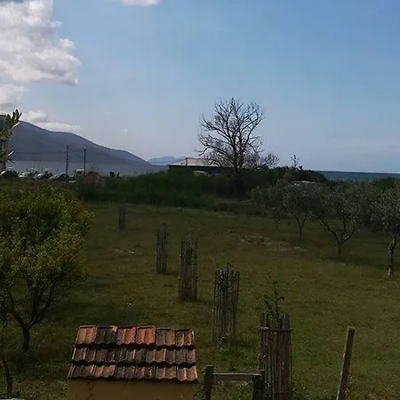 Agroni